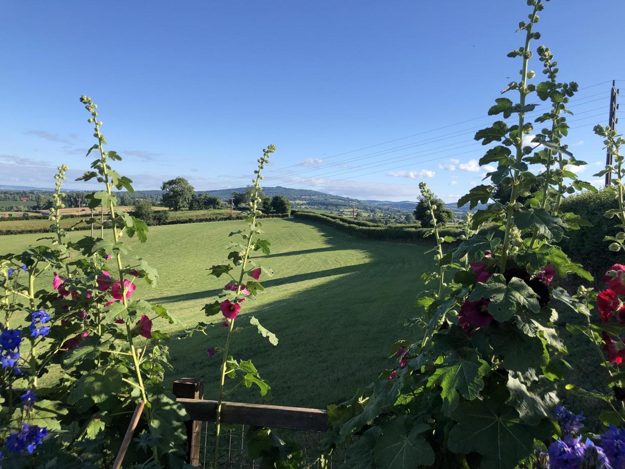 Betula Views Studio Newent Zewnętrze zdjęcie