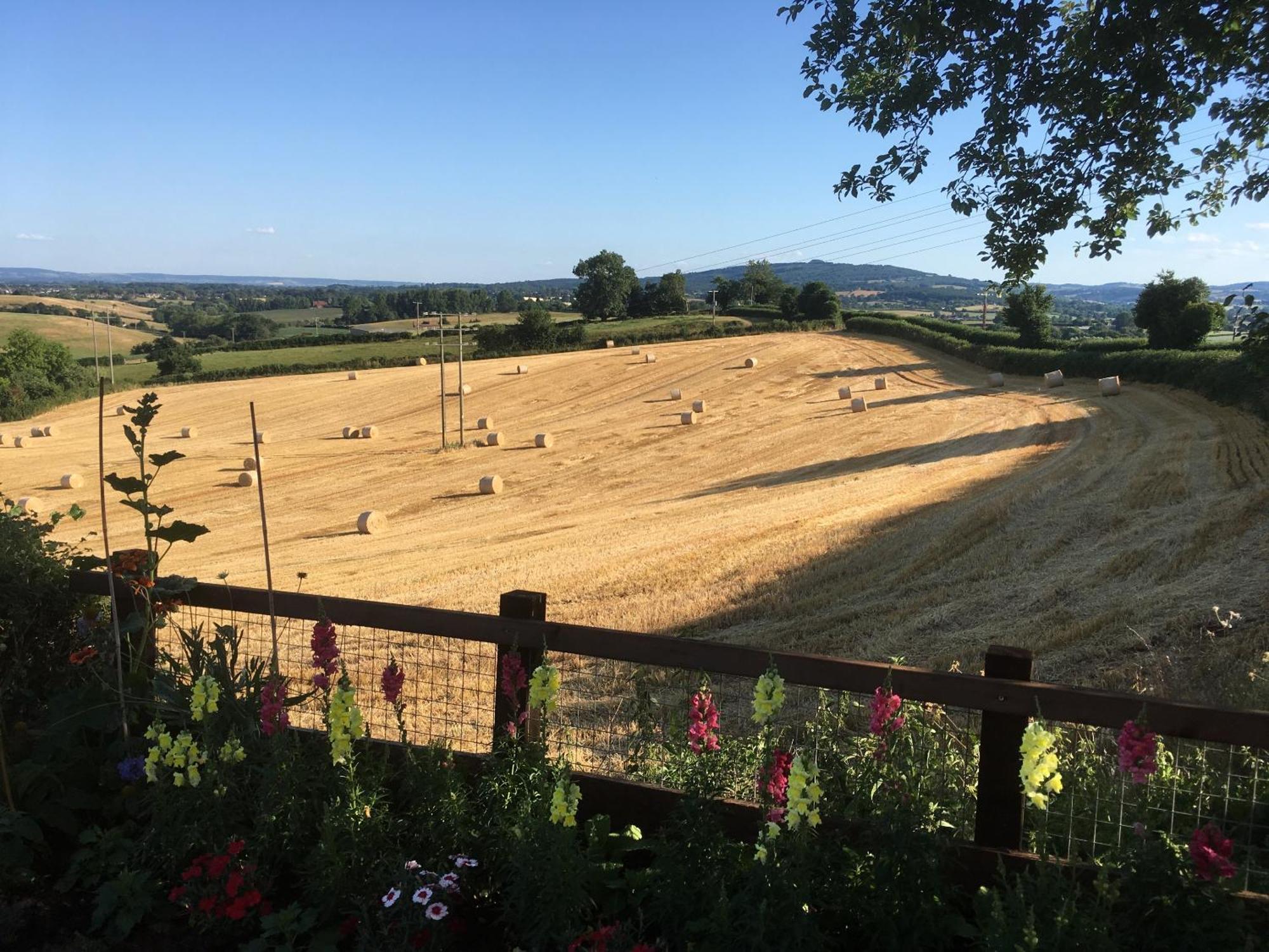Betula Views Studio Newent Zewnętrze zdjęcie